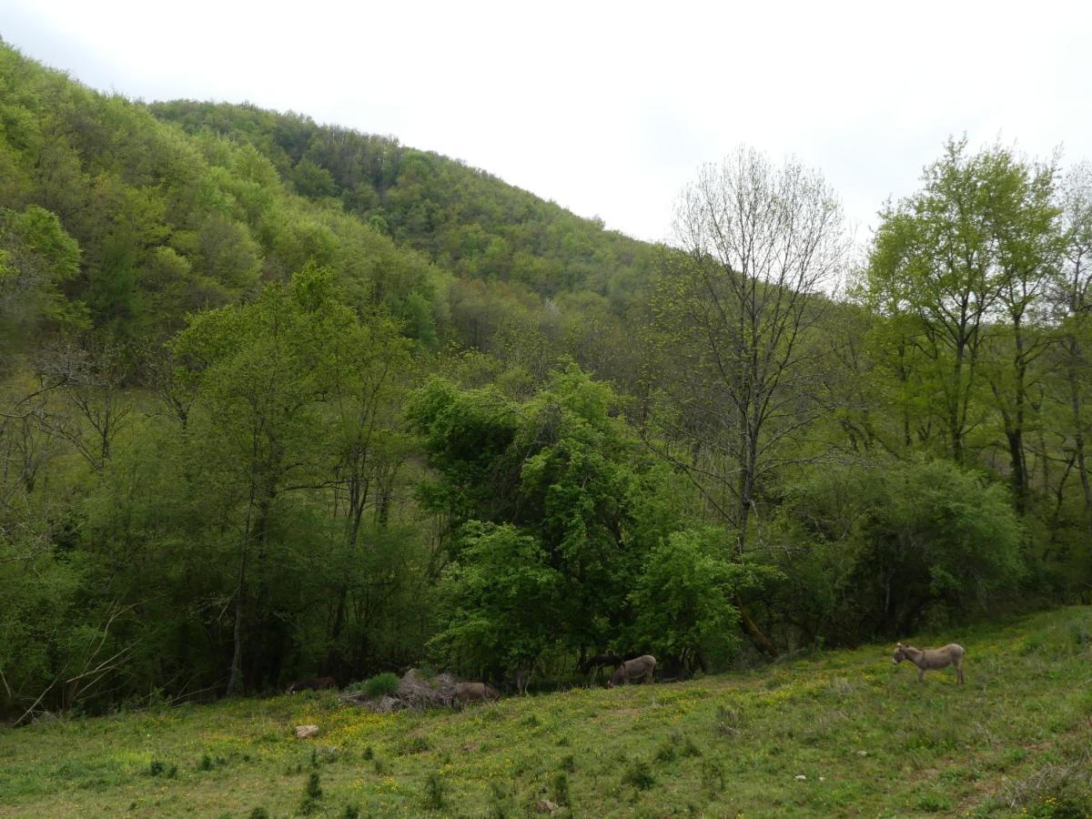 Source Nature Mas-d'Azil 外观 照片